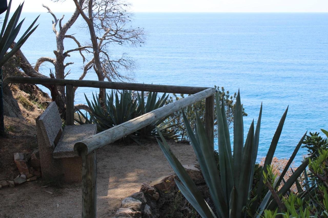 Apartamento A 100M De La Playa Tossa de Mar Bagian luar foto
